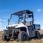 Buggy LINHAI LH 50DU 2×4